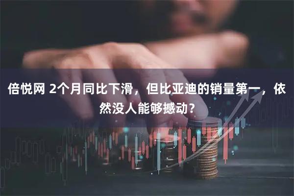 倍悦网 2个月同比下滑,但比亚迪的销量第一,依然没人能够撼动?