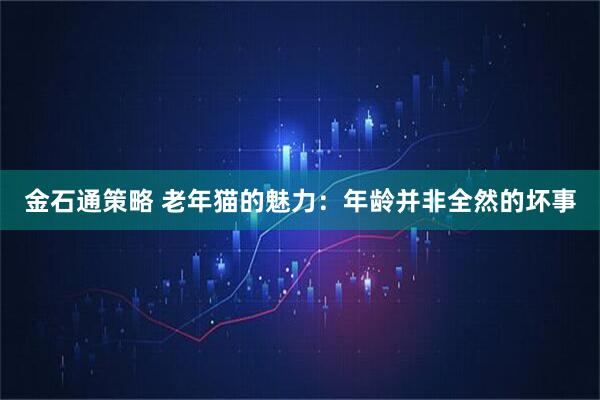 金石通策略 老年猫的魅力：年龄并非全然的坏事