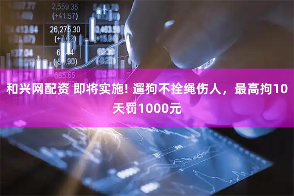和兴网配资 即将实施! 遛狗不拴绳伤人，最高拘10天罚1000元