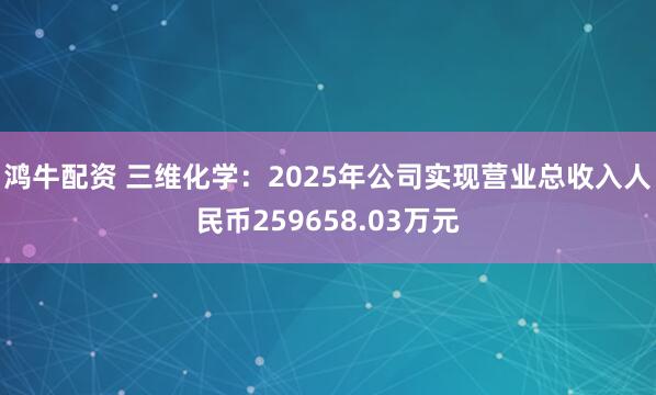 鸿牛配资 三维化学：2025年公司实现营业总收入人民币259658.03万元